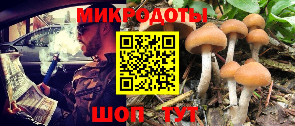 Галлюциногенные грибы MAGIC MUSHROOMS  Псилоцибиновые грибы мицелий  Красноармейск  Вход с VPN 